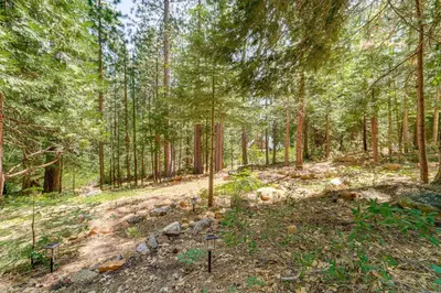 a wooded area with trees and rocks in a forest at Hike and Ski! Cabin 20 Mi to Soda Springs Mtn Resort in Emigrant Gap