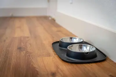 two bowls on a black tray on a wooden floor at The Deco Retreat - UNR - Pet Friendly in Reno