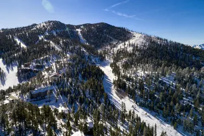 an aerial view of a mountain with snow and trees at Tall Pine Chalet home in Stateline