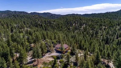an aerial view of a house in the middle of a forest at Tudor Lodge home in Stateline