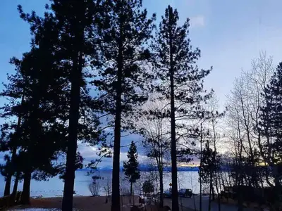 a group of trees in front of a body of water at #9 Lakeside Location Beach Access View BalconyDog in Kings Beach