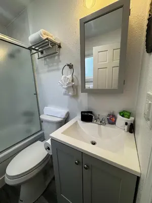 a bathroom with a sink and a toilet and a mirror at #10 Lakeside Great Location Beach Access Dogs ok in Kings Beach