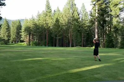 a person is holding onto a tree in a field at Peak Summer - Relax & Refresh - Charming Kings Beach in Tahoe Vista