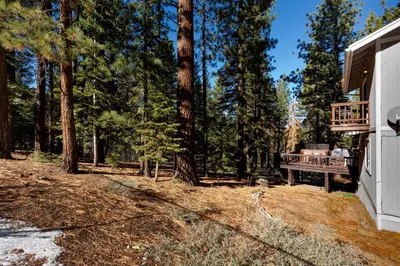 a person sitting on a bench in the woods at Panhandle House home in South Lake Tahoe