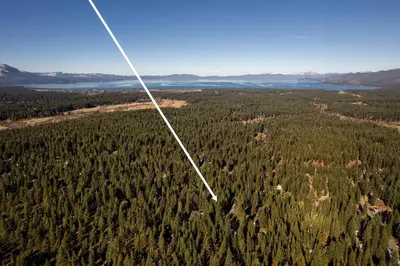 an airplane flying over a forest of trees at Panhandle House home in South Lake Tahoe