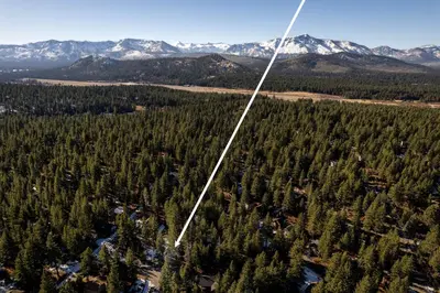an aerial view of trees and snow covered mountains at Panhandle House home in South Lake Tahoe
