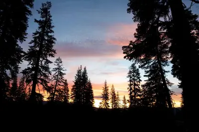 a group of trees in front of a sunset at The Lake Chalet in Bear Valley