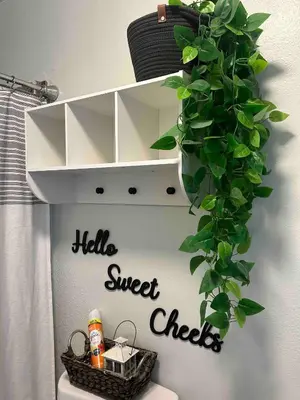 a plant hanging over a toilet in a bathroom at Rustic Retreat 3 bd/2 bth - Large Family Game Area in Fresno