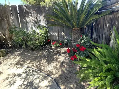 a garden with a palm tree and flowers next to a fence at Rustic Retreat 3 bd/2 bth - Large Family Game Area in Fresno