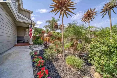 a house with palm trees and a driveway at Waterfront Sleeps 6 near Marina with Hot Tub in Discovery Bay