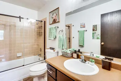 a bathroom with a sink and a toilet and a shower at Walk to Virginia Lake Reno Condo with Balcony! in Reno