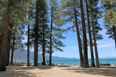a beach with trees and the ocean in the background at Incline Village Retreat in Incline Village