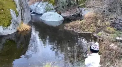 a person fishing in a stream with a rod at Shady Creekside Cabin in Miramonte