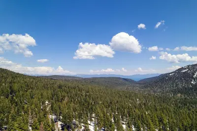 an aerial view of a large forest of trees at Alpine Retreat By Hauserman Rentals in Tahoe City