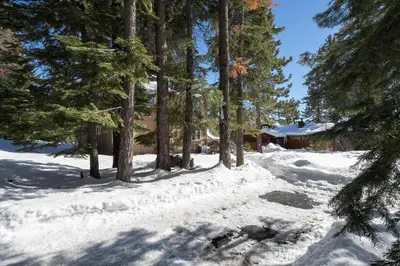 a snow covered yard with trees and a house at Catalpa Vista By Hauserman Rentals in Tahoe Vista