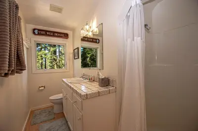 a bathroom with a sink and a toilet and a mirror at Hillhouse By Hauserman Rentals in Homewood