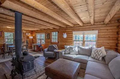 a living room with a couch and a stove at Little Bear Cabin By Hauserman Rentals in Tahoe Vista