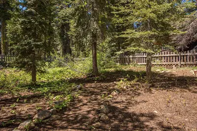 a yard with trees and a wooden fence at Holland By Hauserman Rentals in Homewood