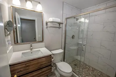 a bathroom with a toilet and a sink and a shower at Holland By Hauserman Rentals in Homewood