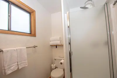 a bathroom with a shower and a toilet and a window at Tahoma Treasures Emerald Cabin Hauserman Rentals in Tahoma