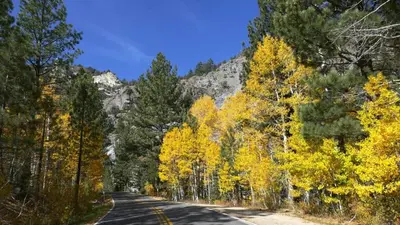 a road with yellow trees on the side of a mountain at Cozy Condo with Fireplace - Tamarack 3 in Bear Valley