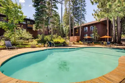 a swimming pool in the middle of a yard with trees at Walk to Mammoth Village Chic Mountain Studio in Mammoth Lakes