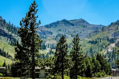 a group of trees with mountains in the background at Everline Resort & Spa 806 in Olympic Valley