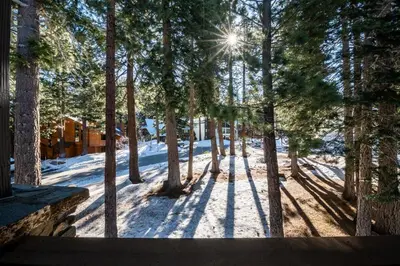 a view of a forest of trees in the snow at Lux Retreat, Covered Parking, Walk to Golf in Mammoth Lakes