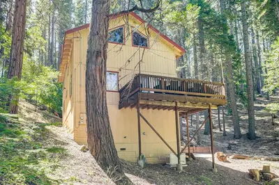 a tree house in the middle of a forest at Hike, Swim, Golf Family Retreat in Arnold! in Arnold