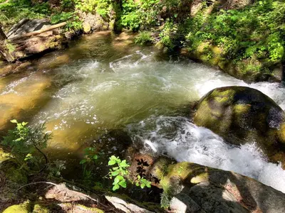 a stream of water with rocks in a forest at Enchanting Creekside Cabin Retreat near Yosemite National Park in California in Oakhurst