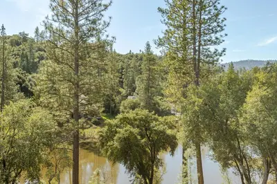a view of a forest with trees and a lake at Beautiful Lake Views with Hot Tub and Space for Family in Oakhurst