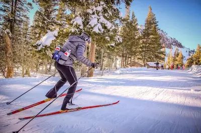 a person is cross country skiing in the snow at Meadow Ridge 37 in Mammoth Lakes