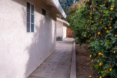 an orange tree next to a house with a sidewalk at Modern Merced Haven near Merced College and UC Merced in Merced