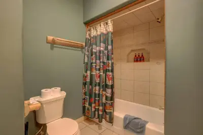 a bathroom with a toilet and a shower curtain at TaHaus Hot Tub Pool Table Dog Friendly in South Lake Tahoe