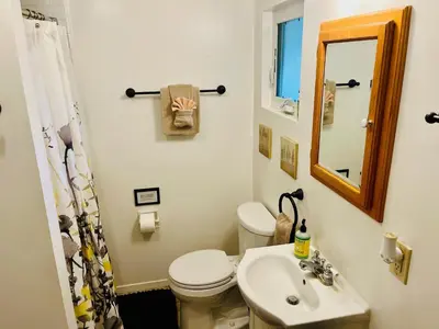 a bathroom with a toilet and a sink and a mirror at Riverfront with EV charger - Sequoia River Cottage in Three Rivers