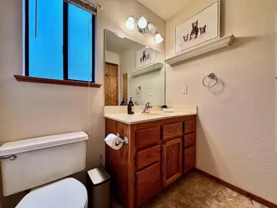 a bathroom with a toilet and a sink and a mirror at Forest View Family Home in Pollock Pines