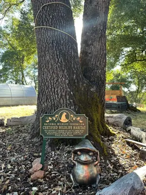 a sign in front of a tree with a tea pot at Blissful Acres hilltop cottage in Grass Valley