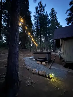 a fire pit under a tree next to a building at Woodland Chalet Retreat with Hot Tub in Arnold