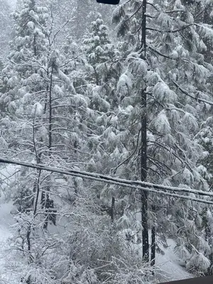 a snow covered forest with snow covered trees at Woodland Chalet Retreat with Hot Tub in Arnold
