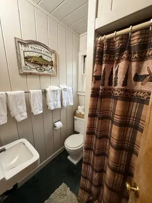 a bathroom with a toilet and a sink at Lake Tahoe Cabin I Hammocks, Paddle Boards and Bikes in Homewood