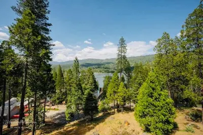 an aerial view of a park with trees and a lake at Lake View Suite for 2-Hot Tub-Dog Friendly in Bass Lake Annex