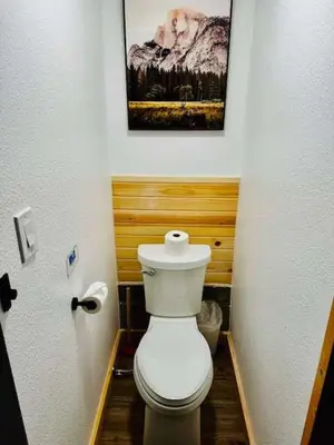 a bathroom with a toilet with a picture on the wall at Lake View Suite for 2-Hot Tub-Dog Friendly in Bass Lake Annex