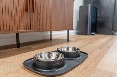two bowls on a black tray on a wooden floor at Designer Living Pet-Friendly UNR 2BR 1BA in Reno