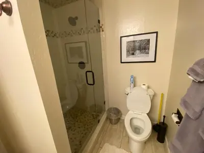 a bathroom with a shower and a toilet with a glass door at Lake Village Resort 3 bedroom condo in Zephyr Cove