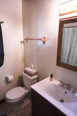 a bathroom with a toilet and a sink and a mirror at Pine Ridge Retreat in Stateline