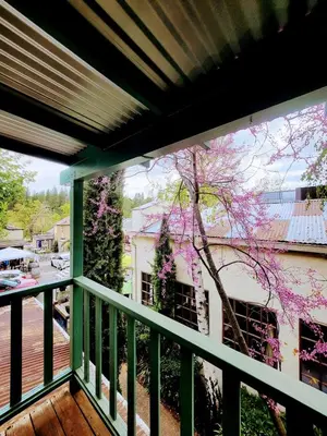 a balcony with a tree with pink flowers at Terrace On Main Street in Murphys