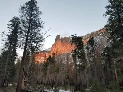 a view of a mountain with trees in the foreground at Cozy Mountain Cabin Yosemite Dodge Ridge Ski in Tuolumne
