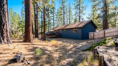 a blue shed in the middle of a forest at Steps to Trails Minutes to Heavenly Fireplace Deck BBQ Bluewood Cabin by AvantStay in South Lake Tahoe