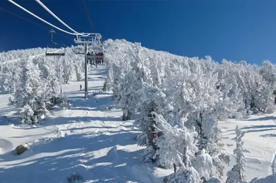 a ski lift with trees covered in snow at Chateau Sans Nom 9 in Mammoth Lakes