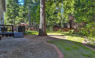a tree in the middle of a yard with a bench at Country Style Mountain Home - View of Lake Forebay in Pollock Pines
